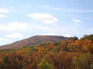 scenery